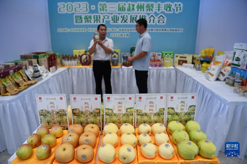 迷你纸牌游戏安卓